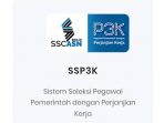 Pengangkatan Tenaga PPPK bagi Guru Honorer, Berikut Waktu dan Syarat Pendaftarannya