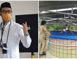 Warga Pesantren Darul Istiqamah Puce’e Budidayakan Ikan Lele, Bantuan Pemkab Sinjai