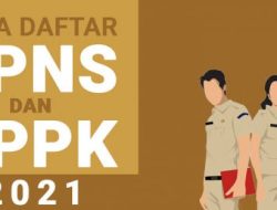 Info Pendaftaran CPNS dan PPPK 2021 Formasi Guru, Nakes dan Umum untuk Bulukumba