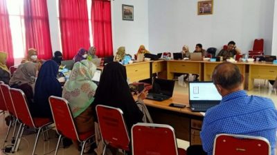 Dosen STIKes Panrita Husada Ikuti Bimbingan Teknis Sinkronisasi Data Sistem