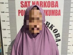 Kasus Narkoba, Seorang Ibu Rumah Tangga Diamankan Satres Narkoba Polres Bulukumba