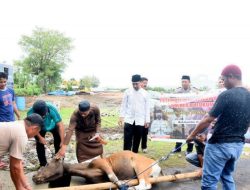 Idul Adha 1443 H/2022 M, Polres Bulukumba Berqurban 17 Ekor Hewan Qurban