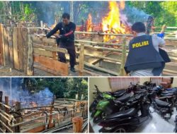 Gerebek Judi Sabung Ayam di Gattareng Kecamatan Gantarang, Polisi Amankan 20 Unit Motor