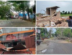 Angin Kencang, BPBD Rilis Kerusakan Rumah dan Pohon Tumbang di Wilayah Bulukumba