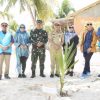 Aksi Pelestarian Lingkungan, PLN Gelar Penanaman Pohon Kelapa Genjah di Pantai Liukang Loe