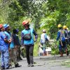 Jaga Keandalan Listrik, Gabungan Petugas PLN UP3 Bulukumba Adakan Pemeliharaan Terpadu Sepanjang 5 Km