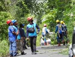 Jaga Keandalan Listrik, Gabungan Petugas PLN UP3 Bulukumba Adakan Pemeliharaan Terpadu Sepanjang 5 Km