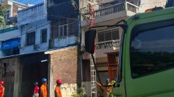 Mantap.! PLN UP3 Bulukumba dan ULP Panrita Lopi Lakukan Pemangkasan Pohon Tanpa Pemadaman Listrik