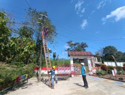 Pastikan Keandalan Pasokan Listrik Jelang HUT RI, PLN ULP Sinjai Gelar Pemeliharaan Terpadu