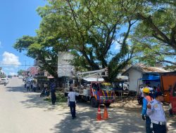 Kerjasama Dinas Terkait, PLN ULP Sinjai Lakukan Pemangkasan Pohon, Ini Tujuannya