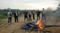 Tak Temukan Pelaku, Polisi Bakar Arena Sabung Ayam, Kapolsek; Ini Praktik Judi yang Meresahkan Masyarakat