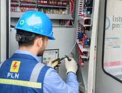 Listrik Padam di Pulau Jampea, PLN Pastikan Gangguan Mesin dan Upaya Perbaikan Maksimal