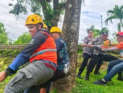 Jaga Pasokan Listrik, PLN ULP Sinjai Gelar Pemeliharaan Terpadu di Tiga Titik Strategis